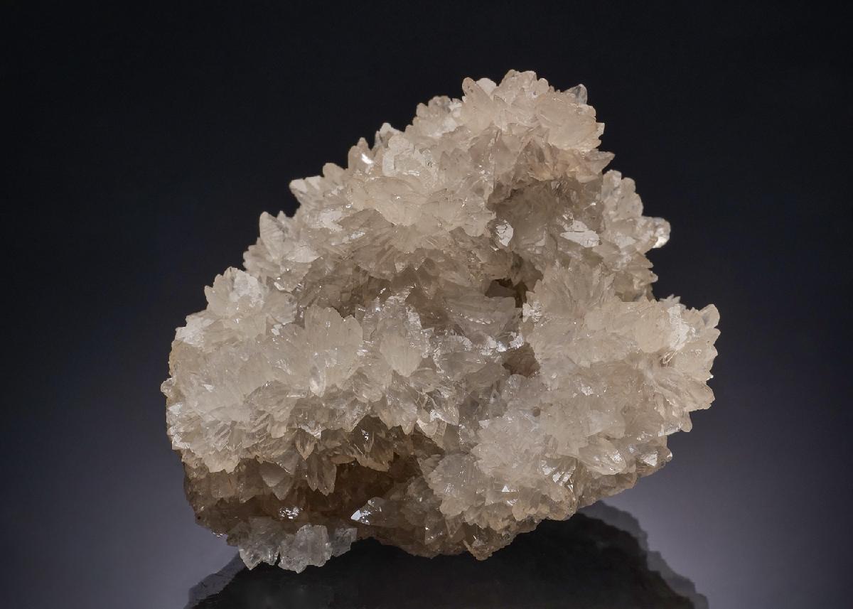 CC46014 specimen image
