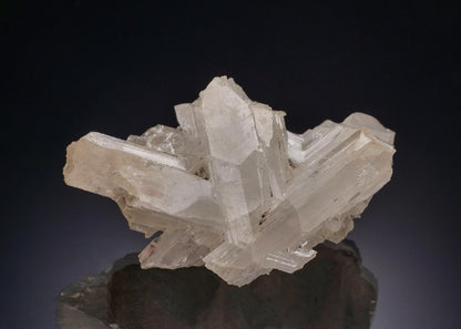 CC46020 specimen image