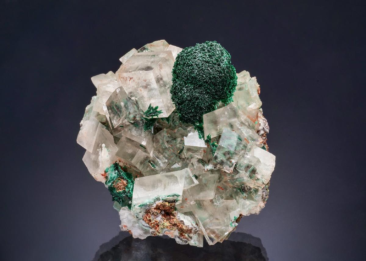 CC46040 specimen image