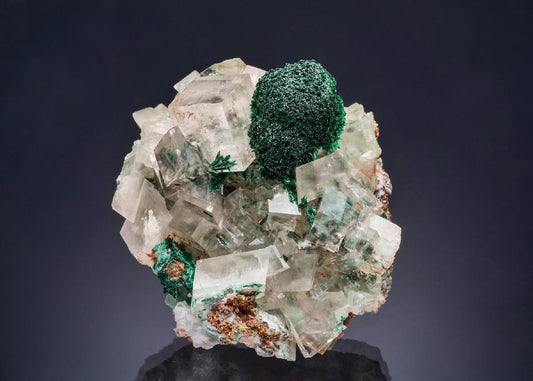 CC46040 specimen image