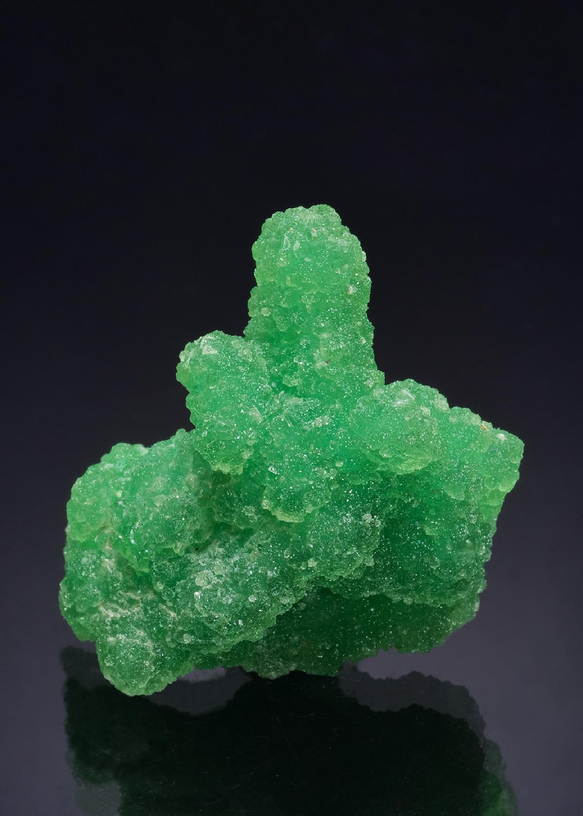 CC46046 specimen image