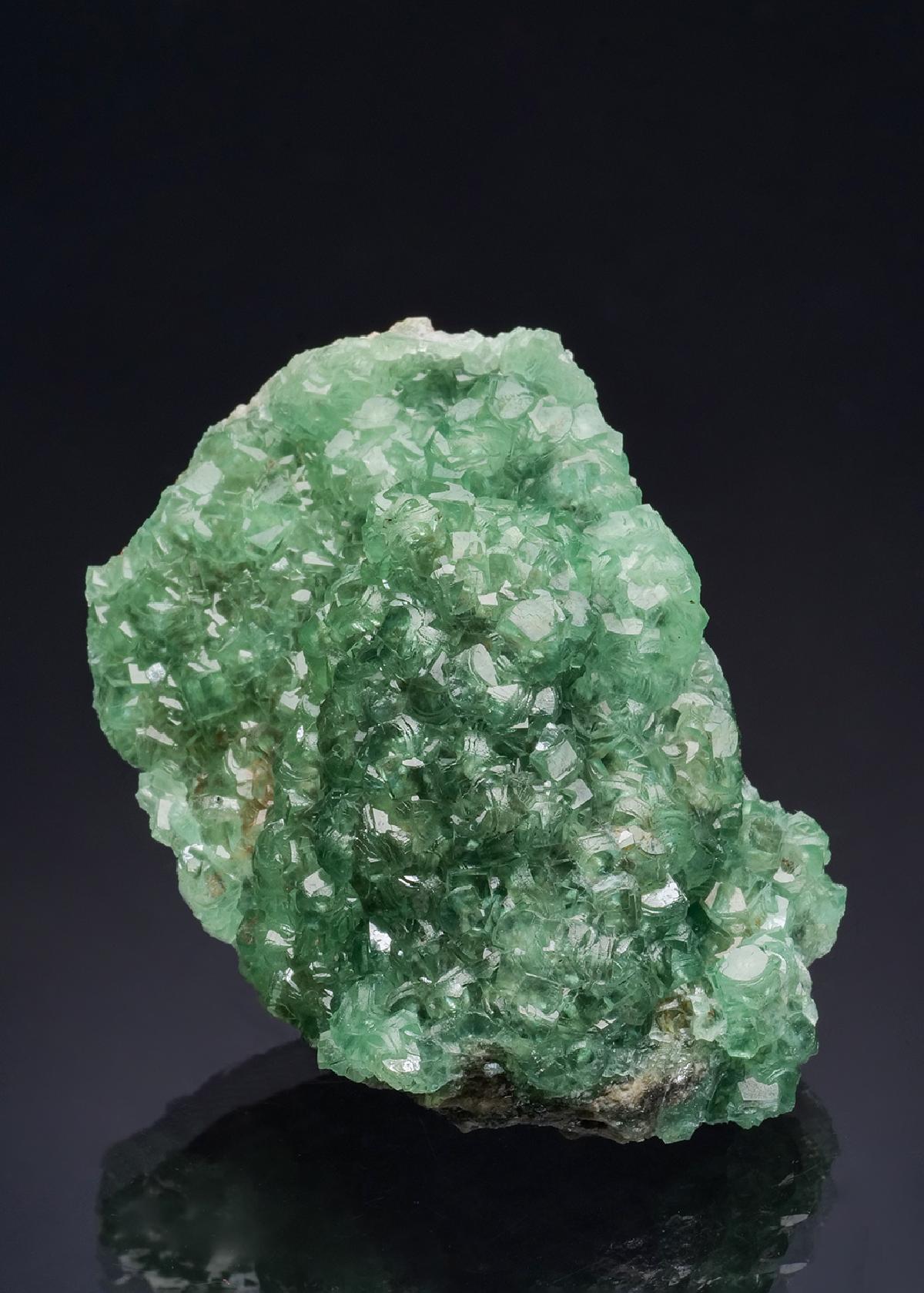CC46050 specimen image
