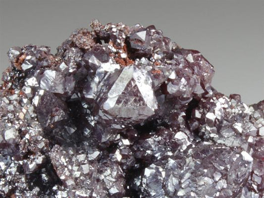 CC4605 specimen image