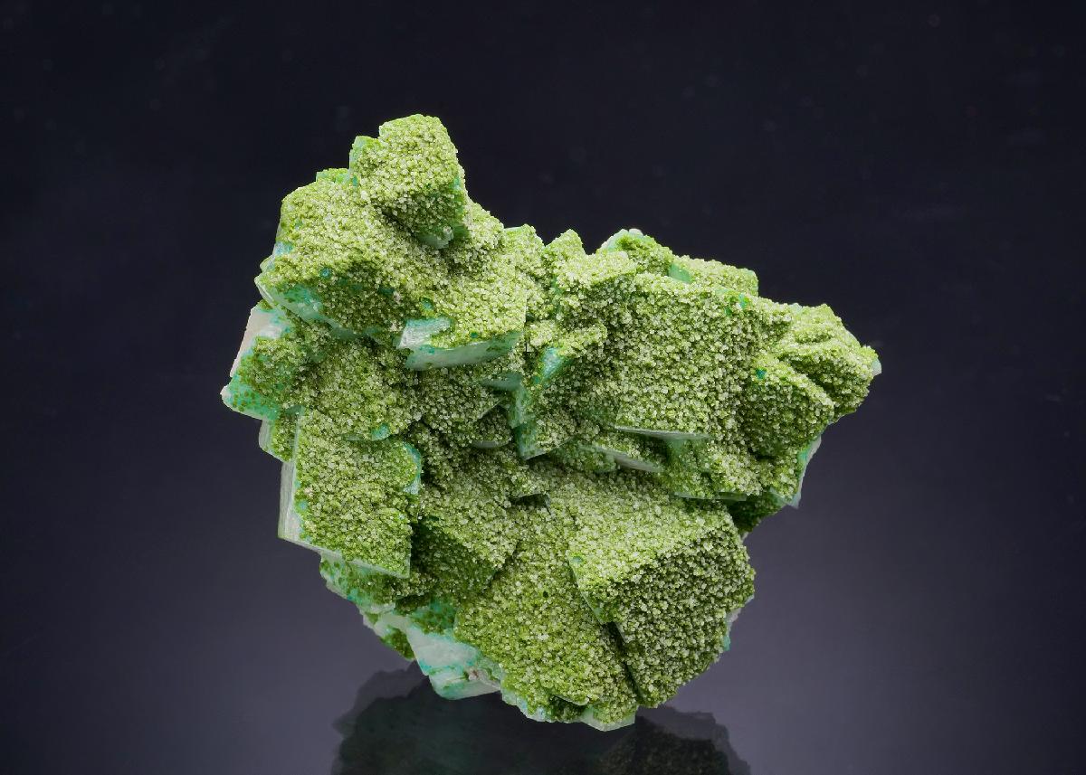 CC46070 specimen image