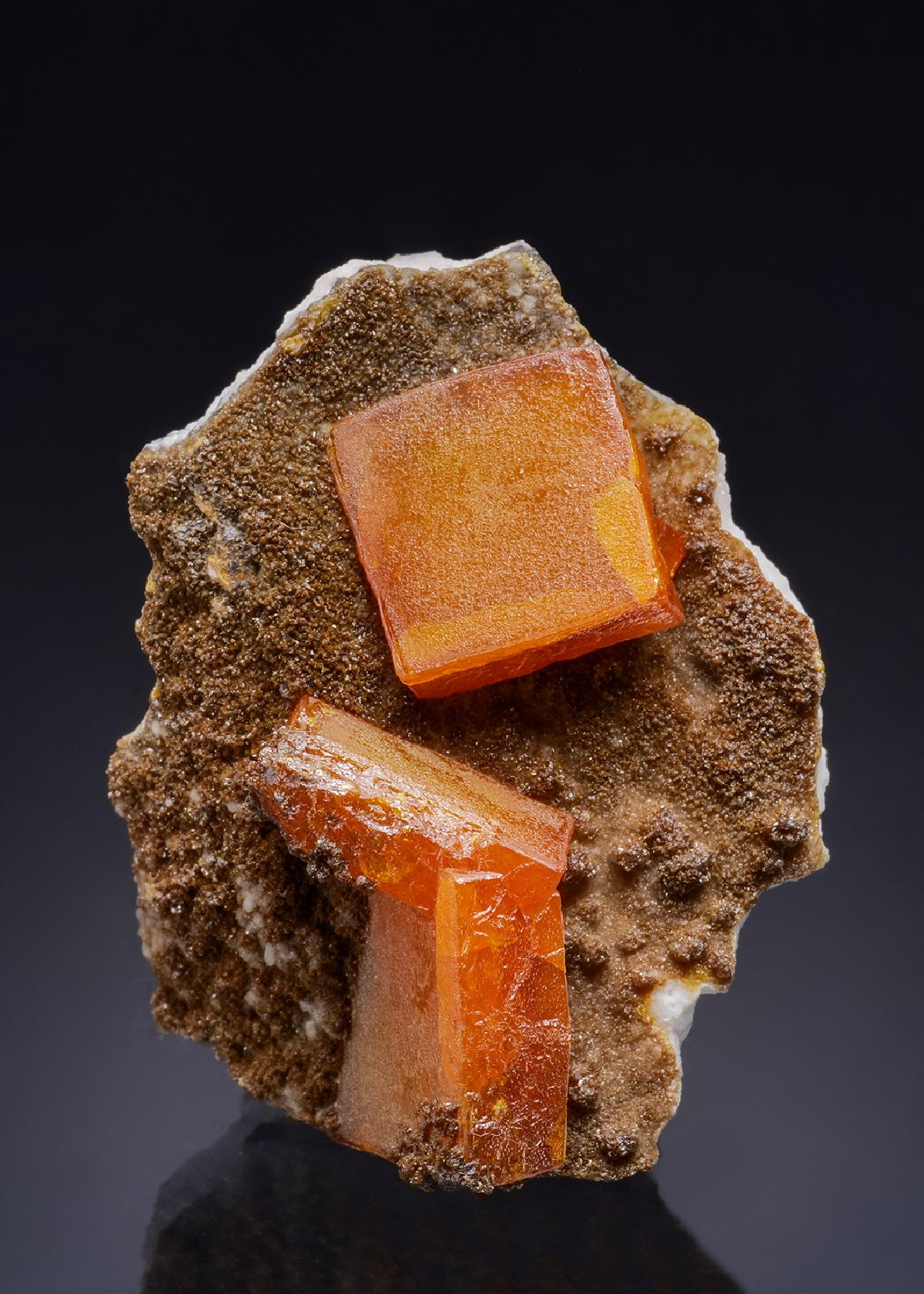 CC46078 specimen image