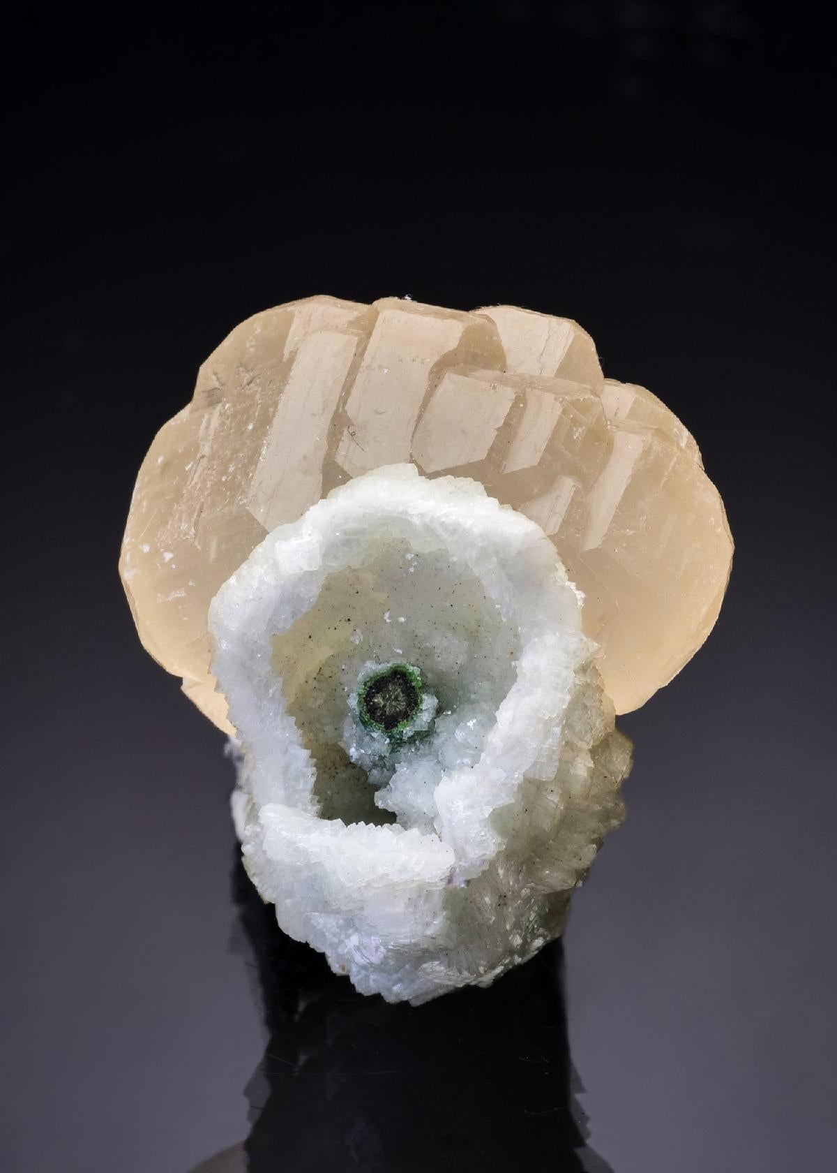 CC46088 specimen image