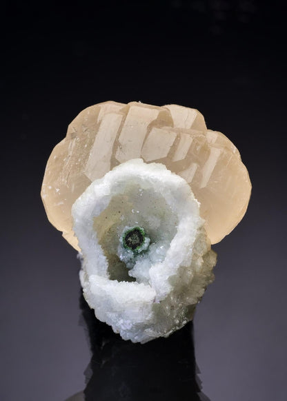 CC46088 specimen image