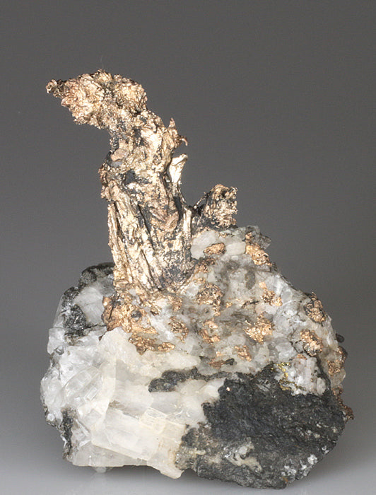 CC4610 specimen image