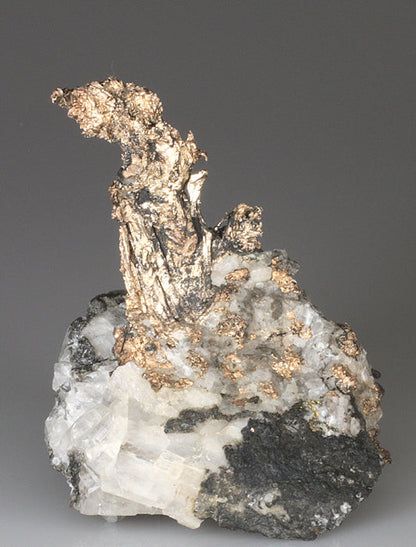 CC4610 specimen image