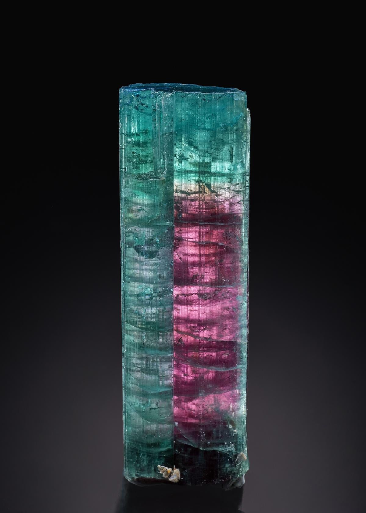 CC46144 specimen image