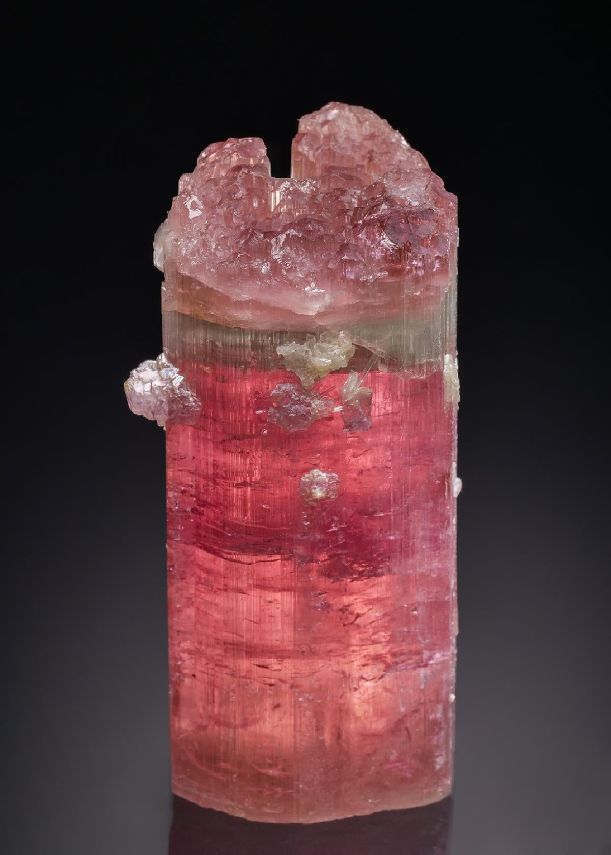 CC46150 specimen image