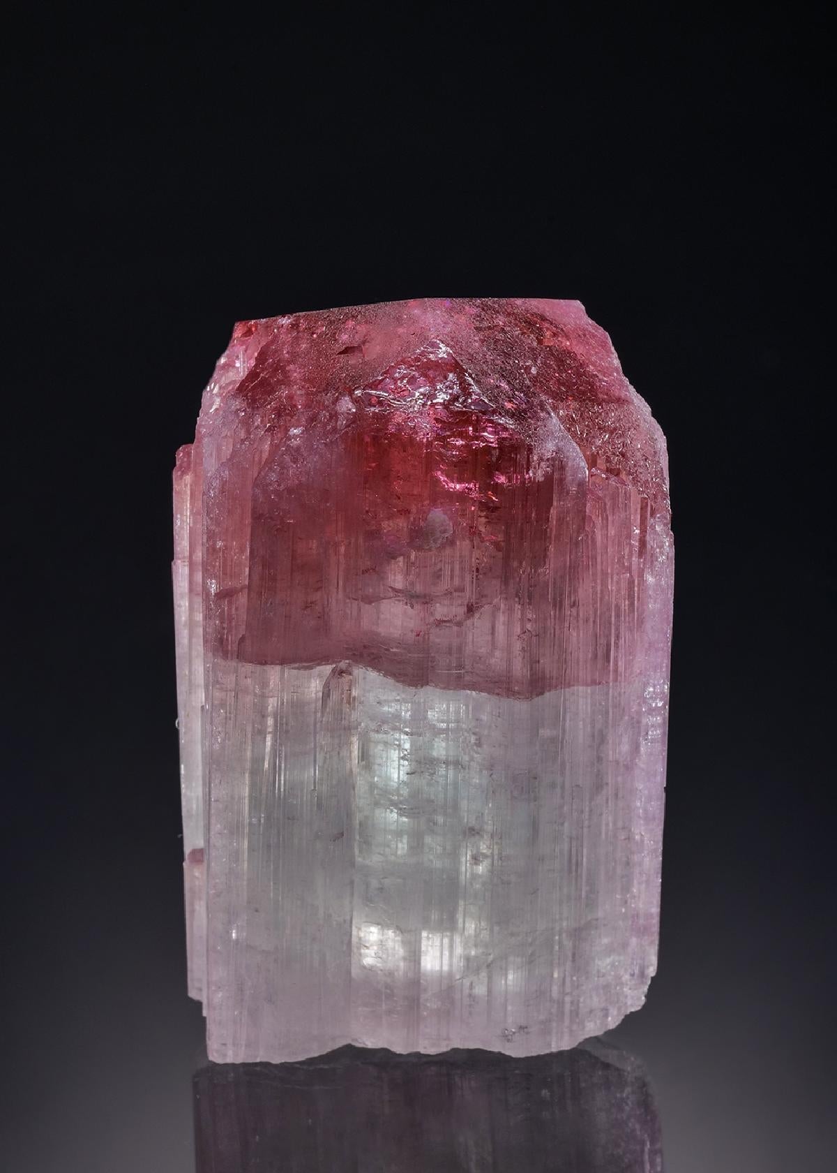 CC46152 specimen image