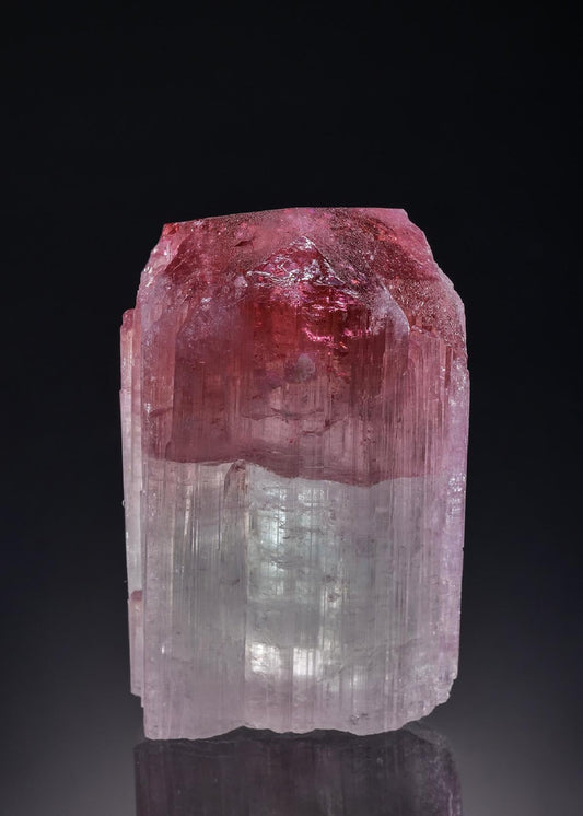 CC46152 specimen image