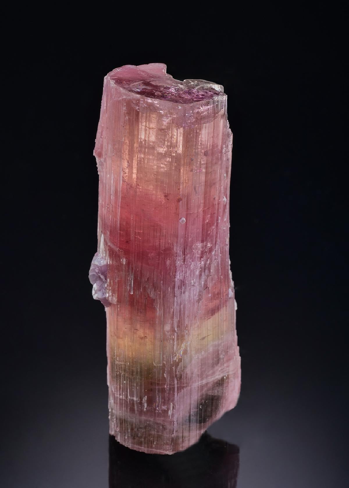 CC46164 specimen image