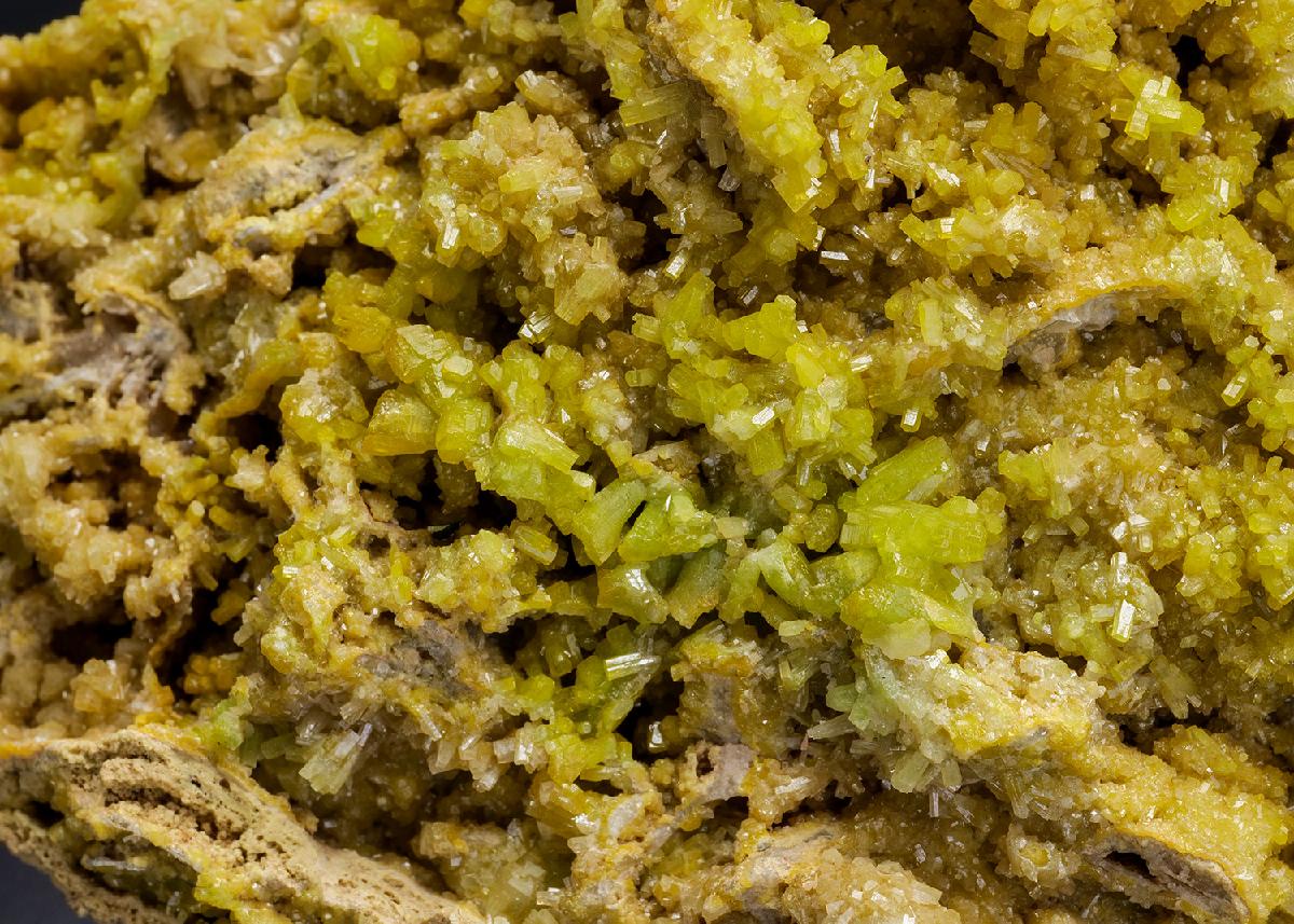 CC4616 specimen image