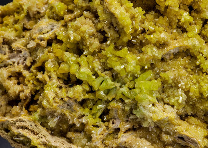 CC4616 specimen image