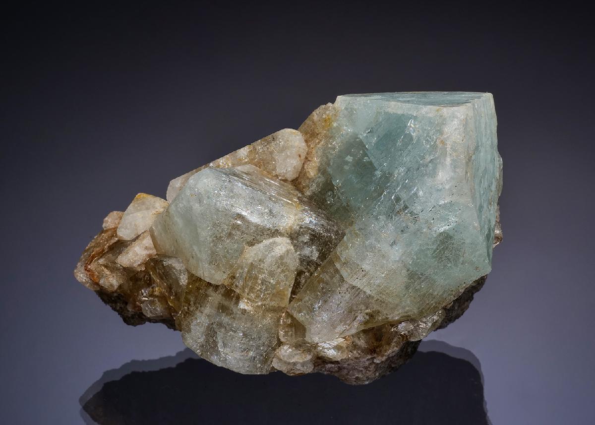 CC46170 specimen image