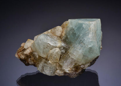CC46170 specimen image