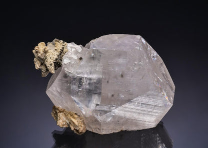 CC46172 specimen image