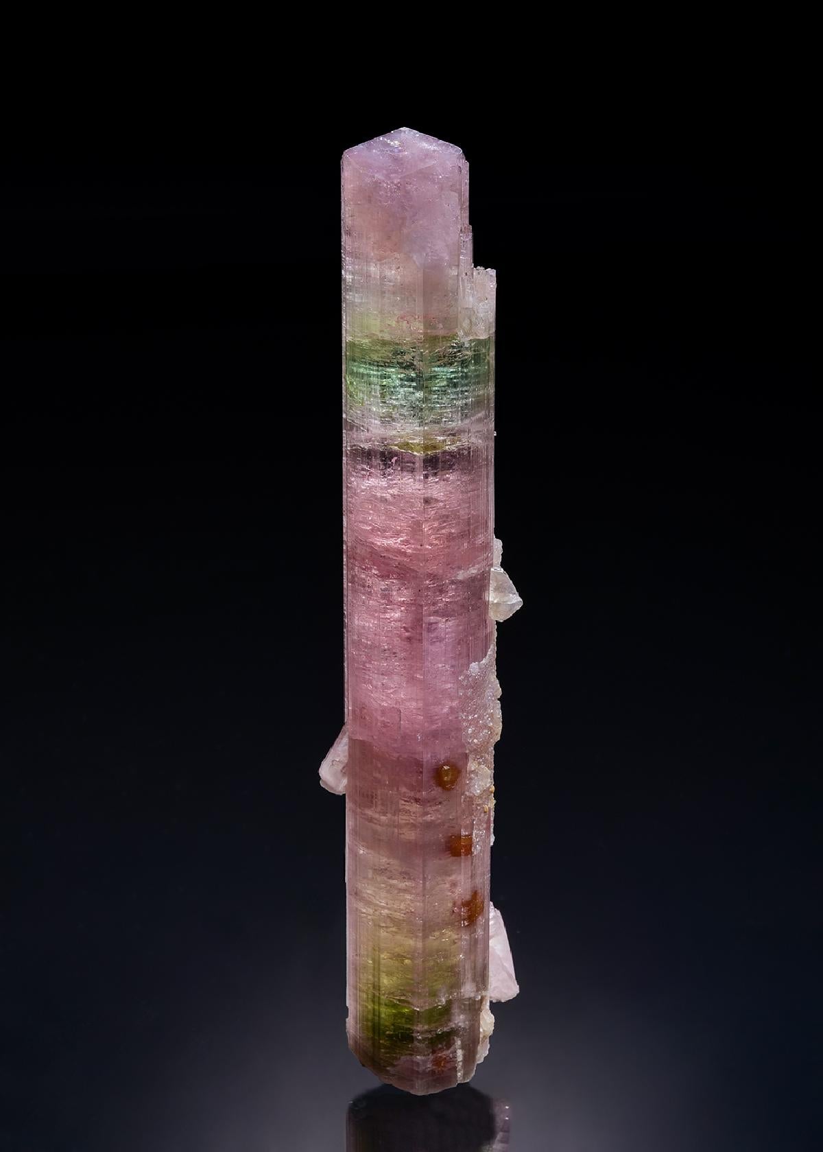 CC46182 specimen image