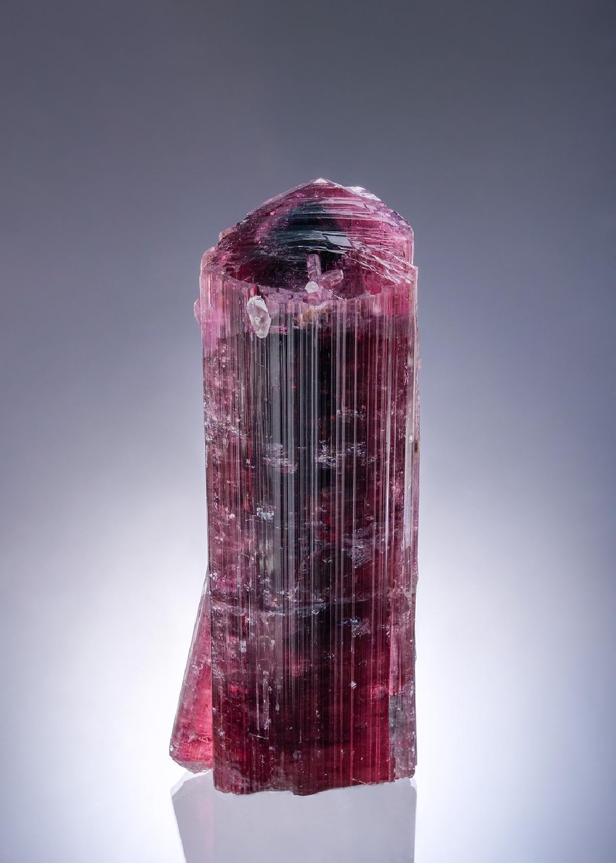CC46184 specimen image