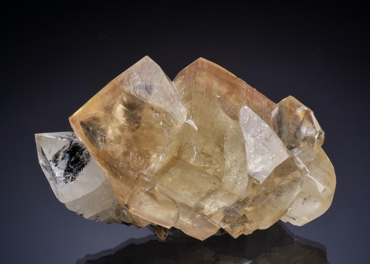 CC46188 specimen image