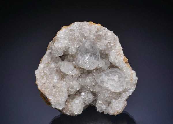CC46190 specimen image