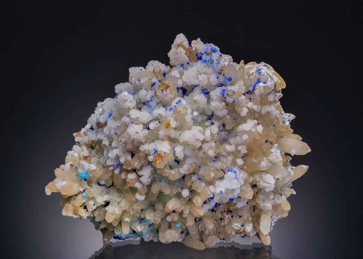 CC46246 specimen image