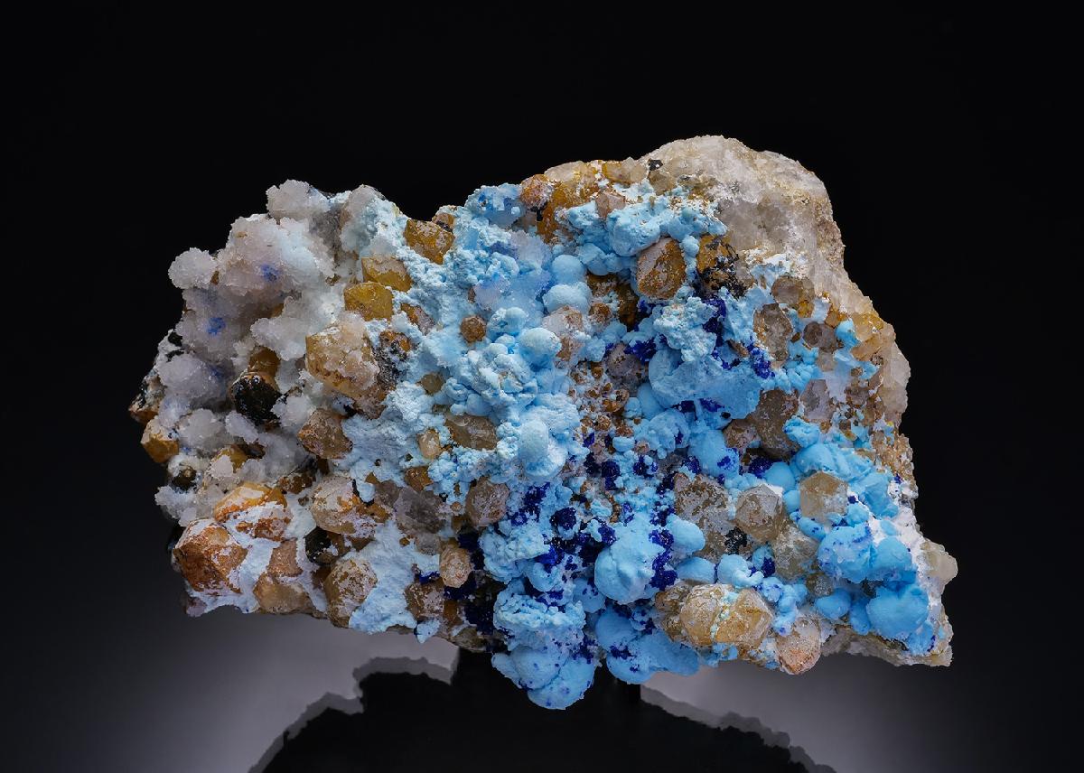CC46310 specimen image