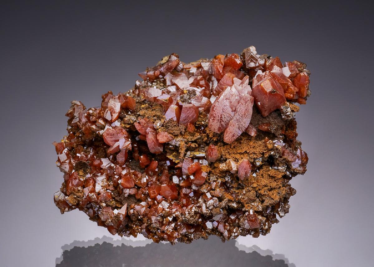 CC46314 specimen image