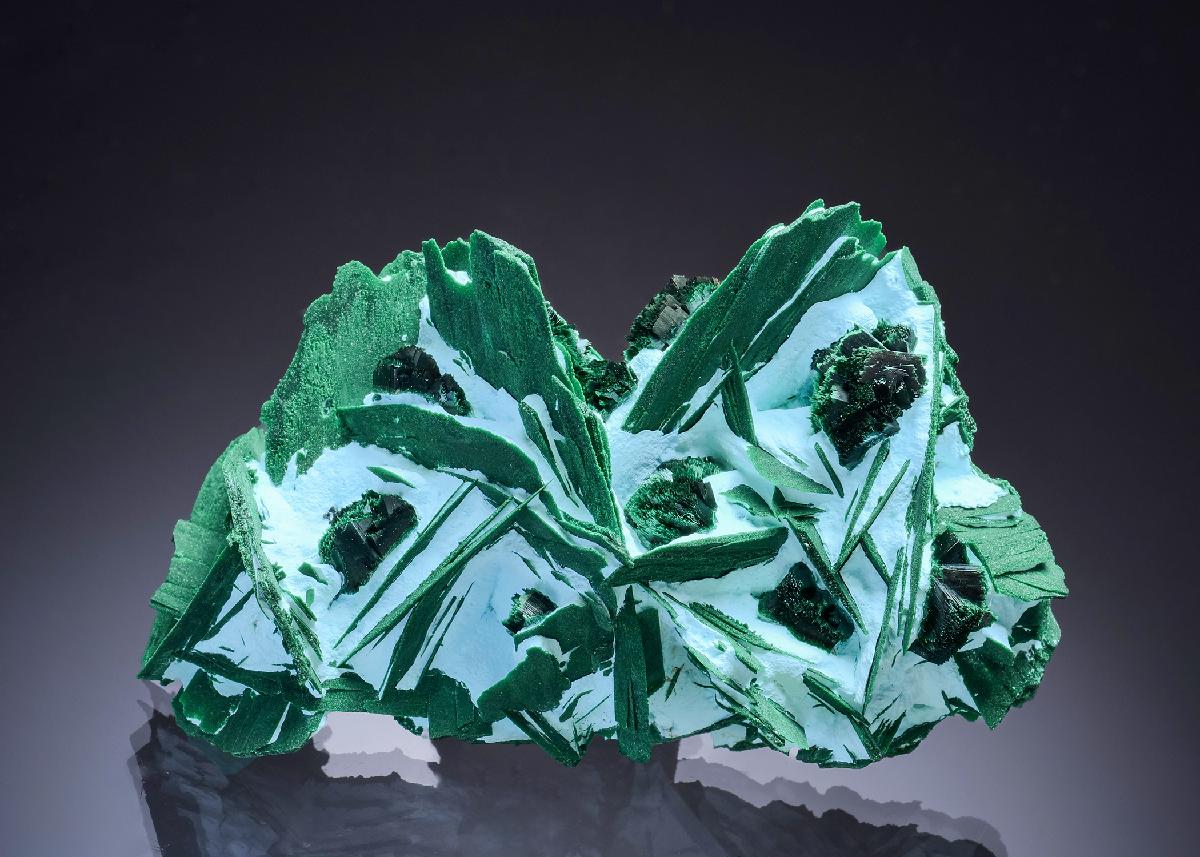 CC46320 specimen image