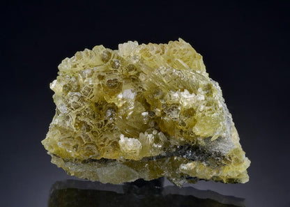 CC46340 specimen image
