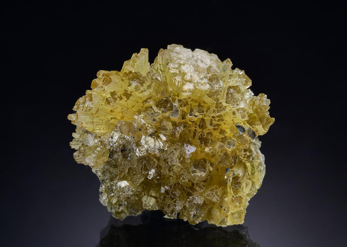 CC46354 specimen image