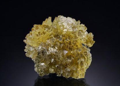 CC46354 specimen image