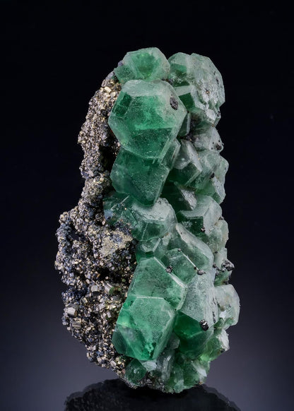 CC46392 specimen image