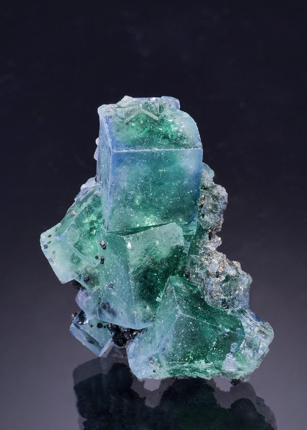 CC46464 specimen image