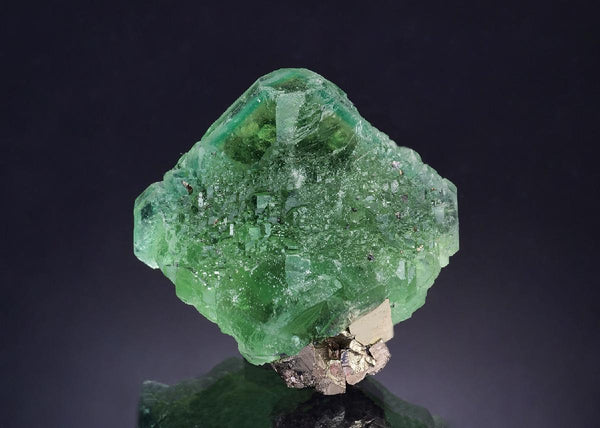 CC46500 specimen image