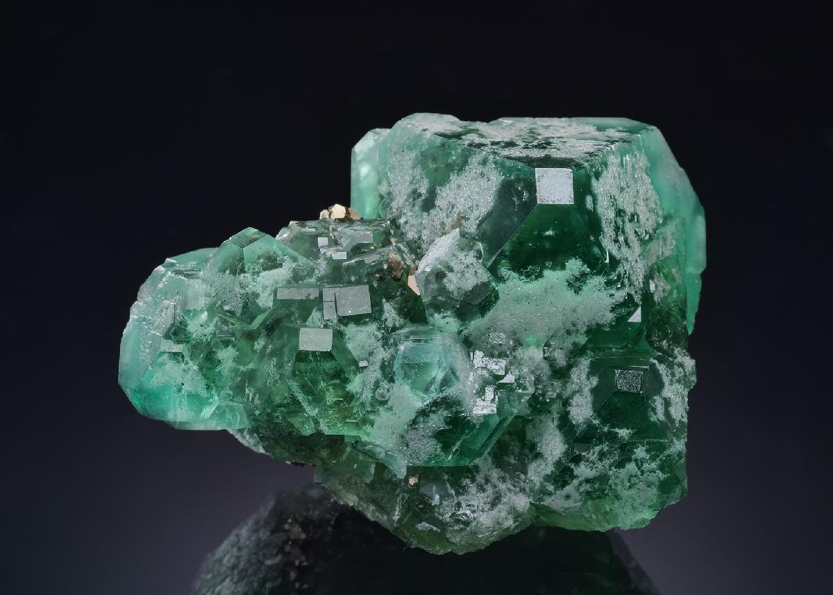 CC46504 specimen image