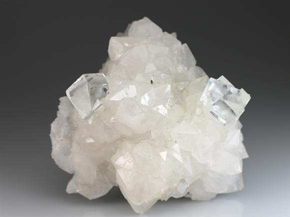 CC4653 specimen image