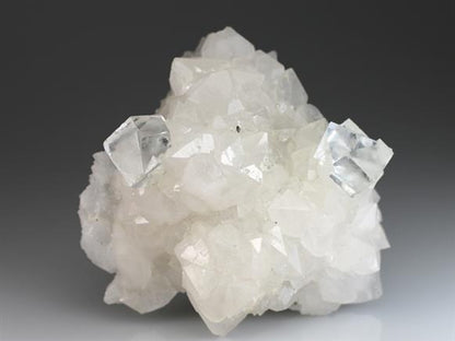 CC4653 specimen image