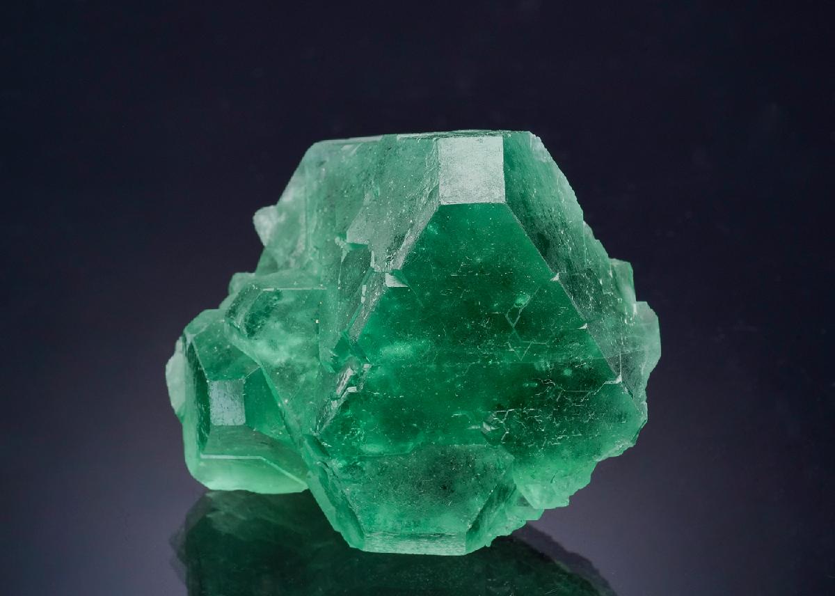 CC46532 specimen image