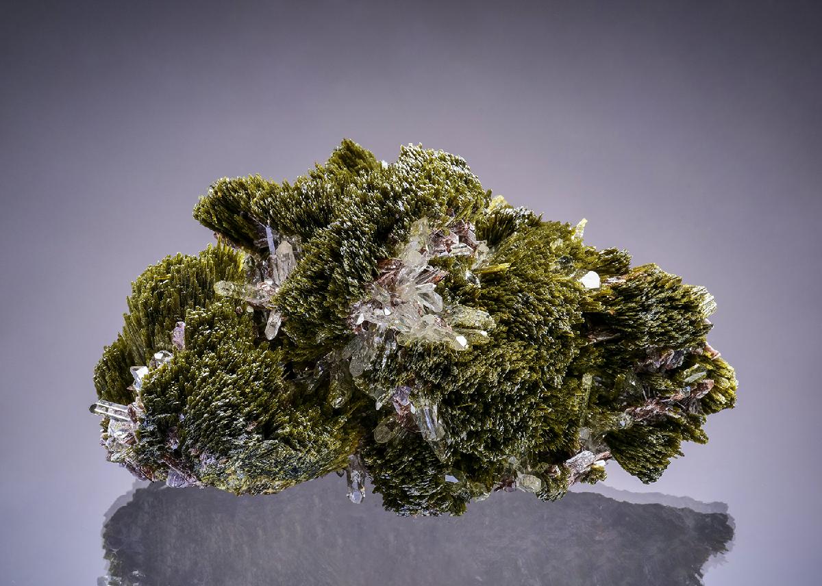 CC46700 specimen image