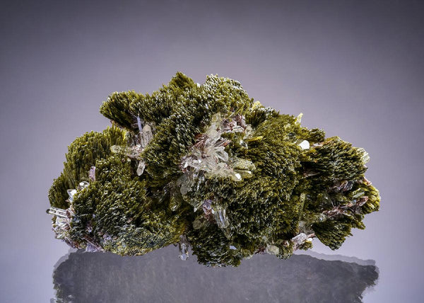 CC46700 specimen image