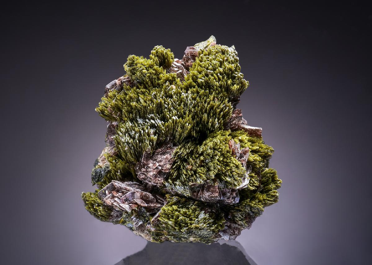 CC46704 specimen image