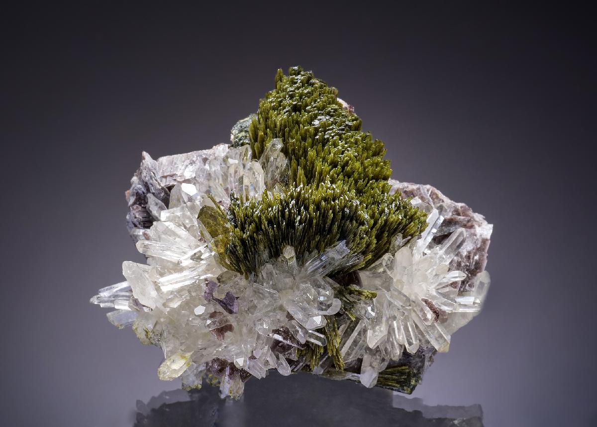 CC46708 specimen image