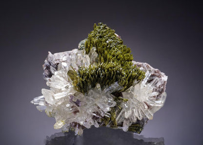 CC46708 specimen image