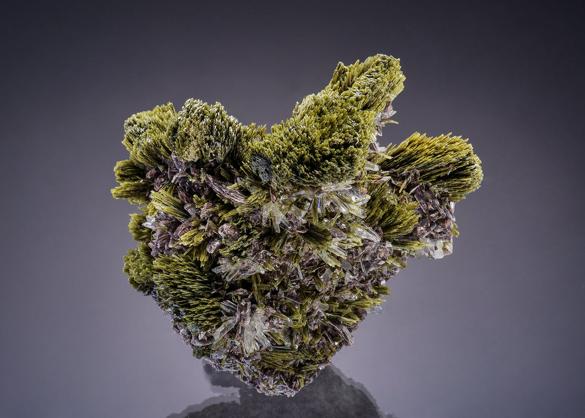 EPIDOTE with AXINITE-(Mn) and QUARTZ