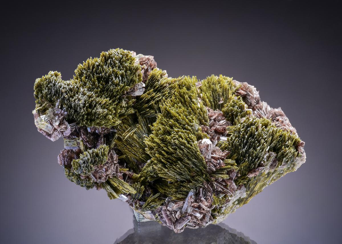CC46724 specimen image