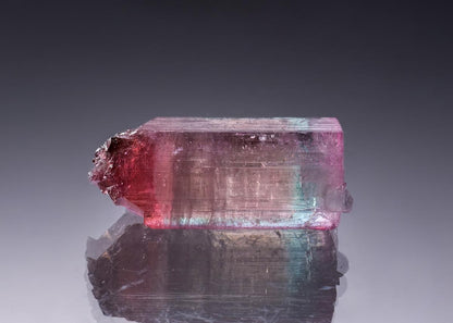 CC46746 specimen image