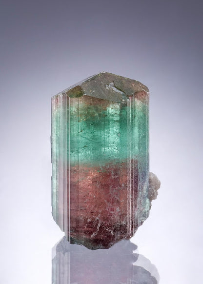 CC46762 specimen image